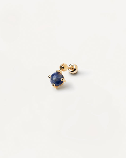 Kimi Sodalite Single Earring