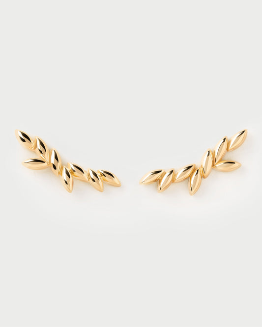 Eva climbing earrings