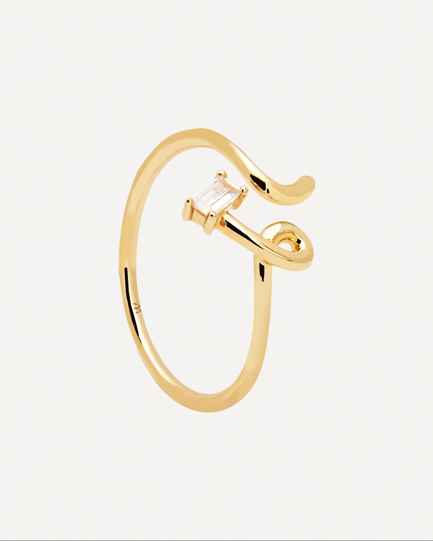 Nema Ring