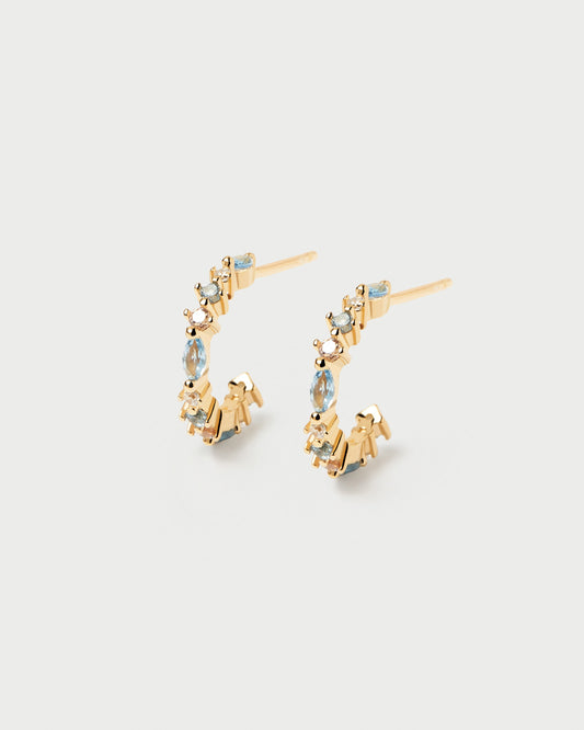 Ombré Earrings
