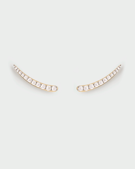 Riga climbing earrings